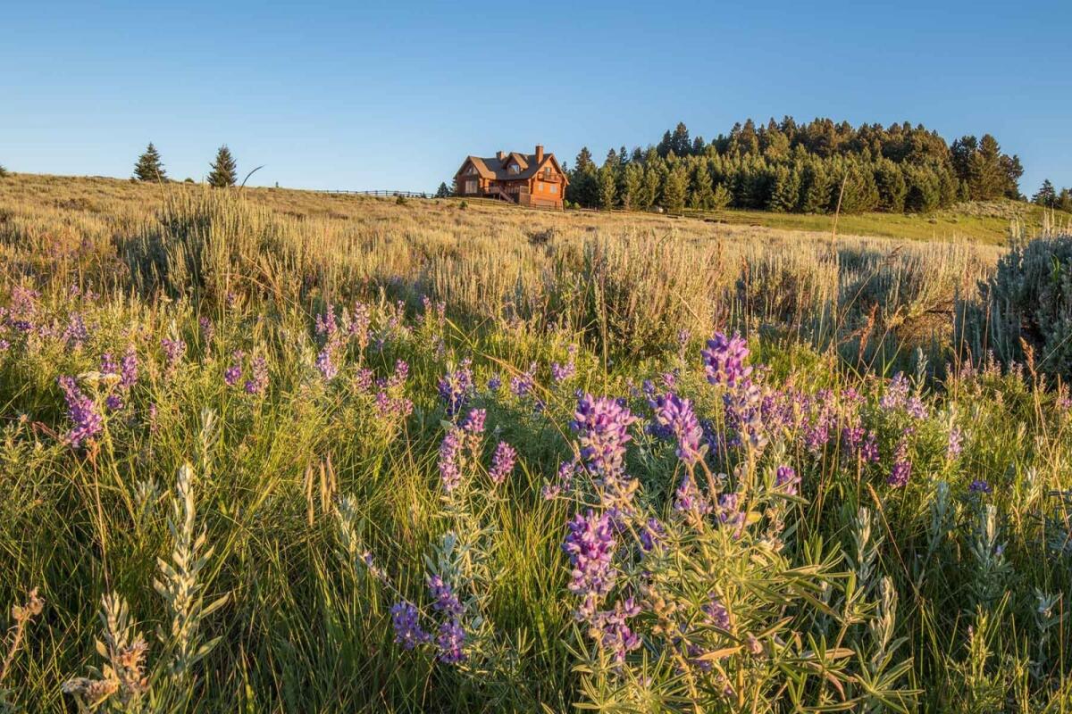Flathead Pass for Sale in Wilsall, MT Gallatin County Farm & Ranch