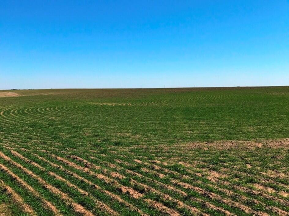 Box Butte County Dryland & Pasture for Sale in Dorsey, NE Box Butte
