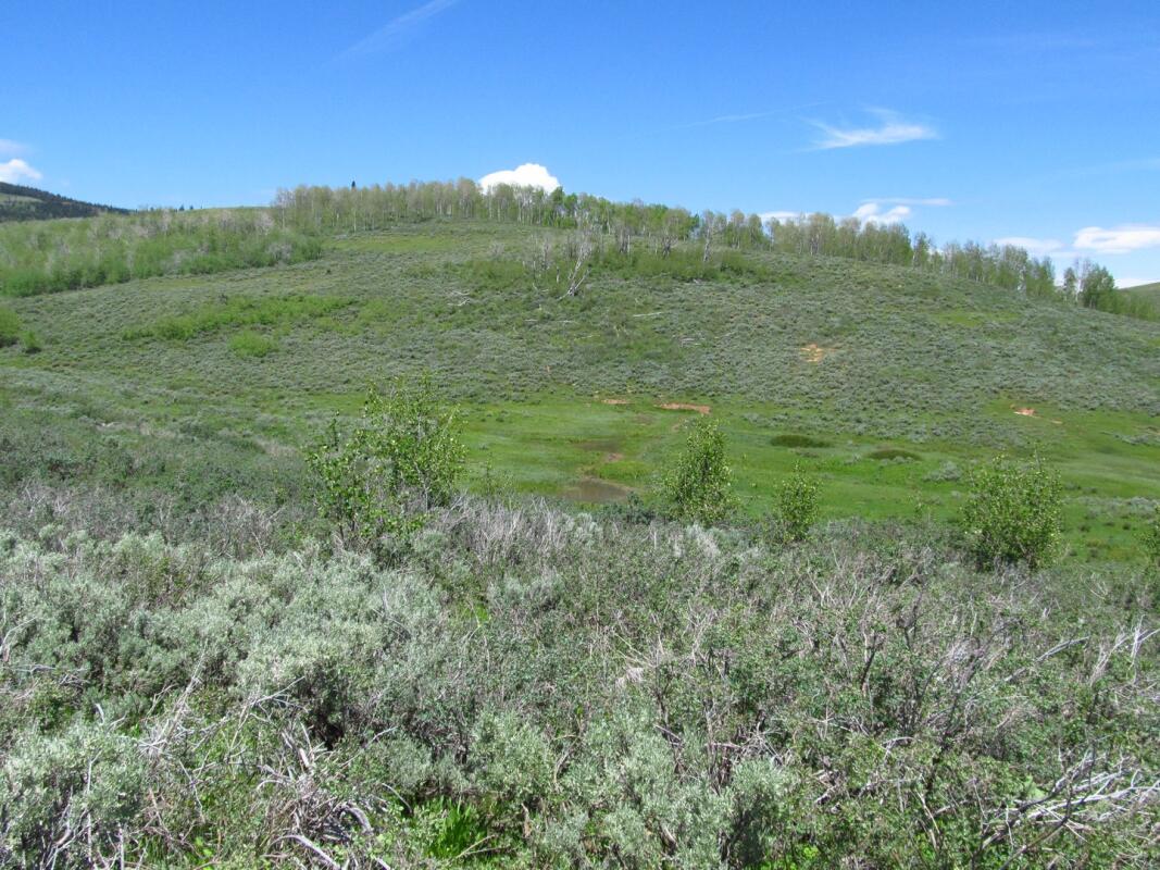 Dempsey Basin Ranch for Sale in Lincoln County, WY Lincoln County