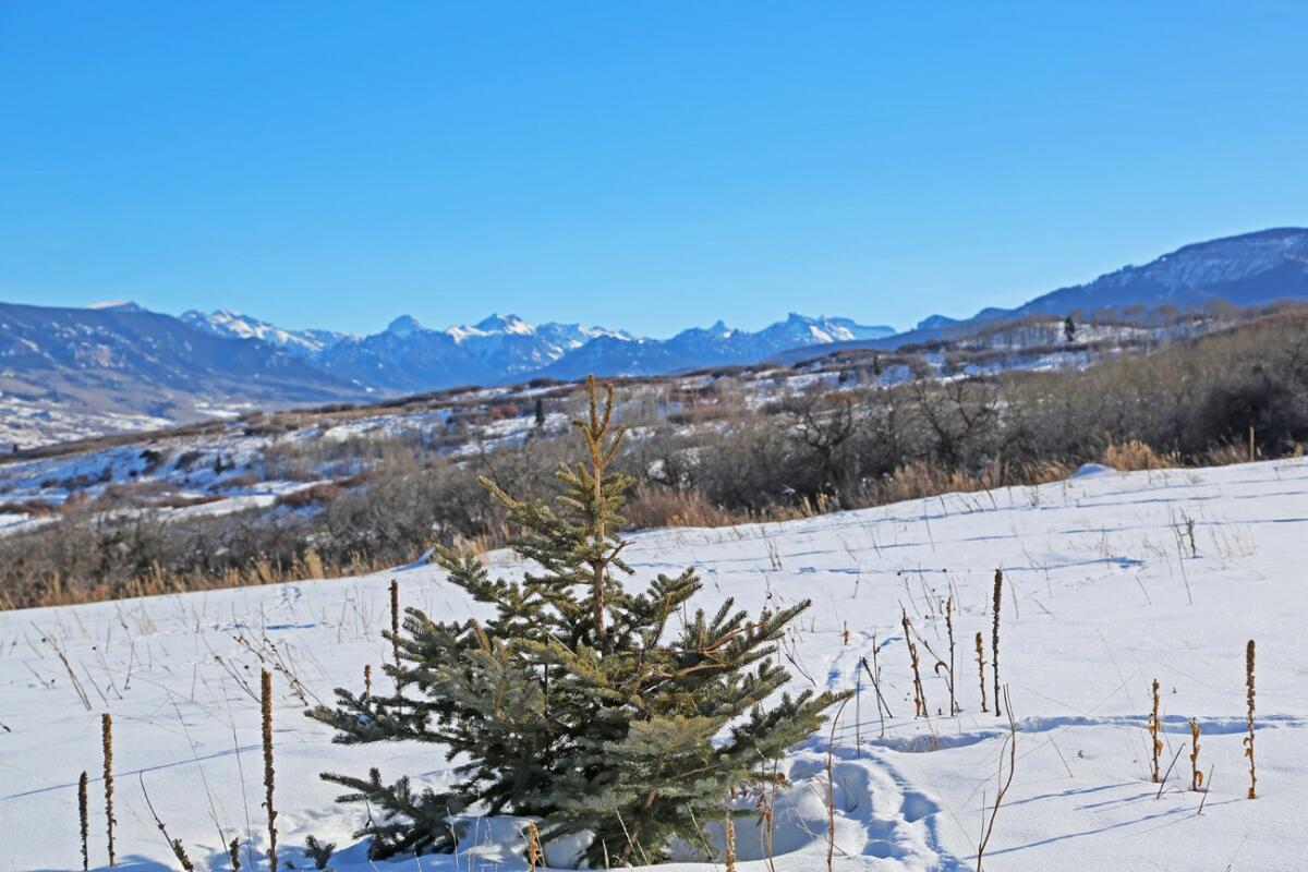 Cimarron Retreat for Sale in Cimarron, CO Montrose County Farm & Ranch