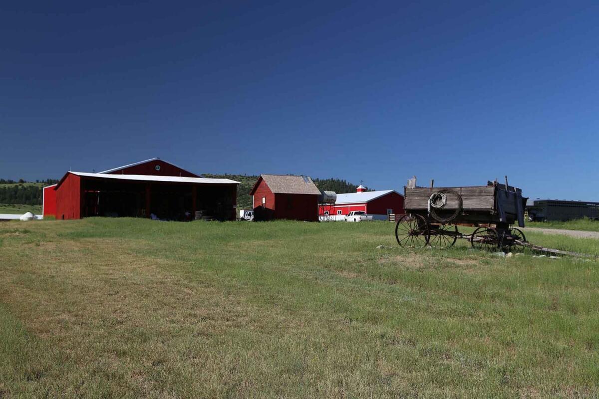 Hooks Ranch for Sale in Reed Point, MT Stillwater County Farm & Ranch