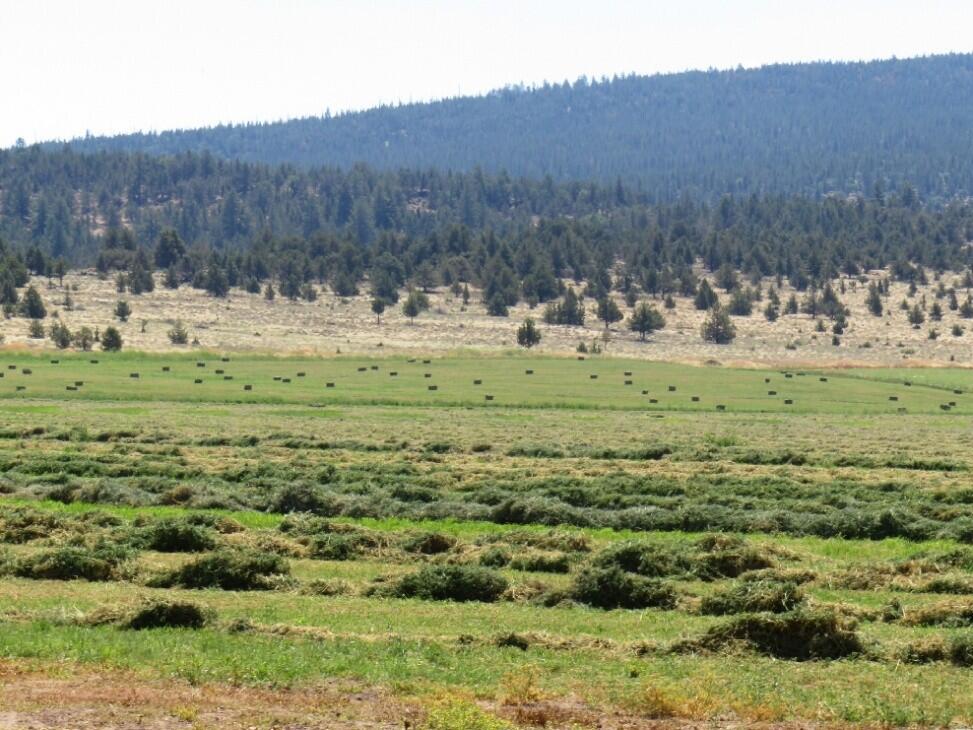 Southwind Ranch for Sale in Bieber, CA Lassen County Farm & Ranch