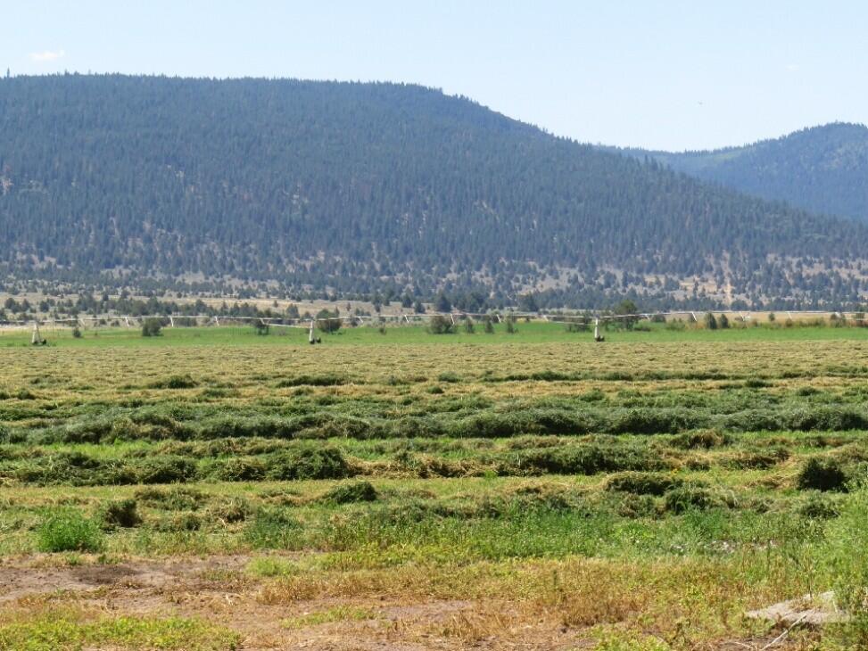 Southwind Ranch for Sale in Bieber, CA Lassen County Farm & Ranch