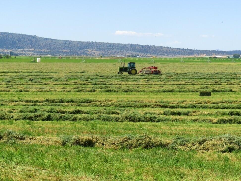 Southwind Ranch for Sale in Bieber, CA Lassen County Farm & Ranch