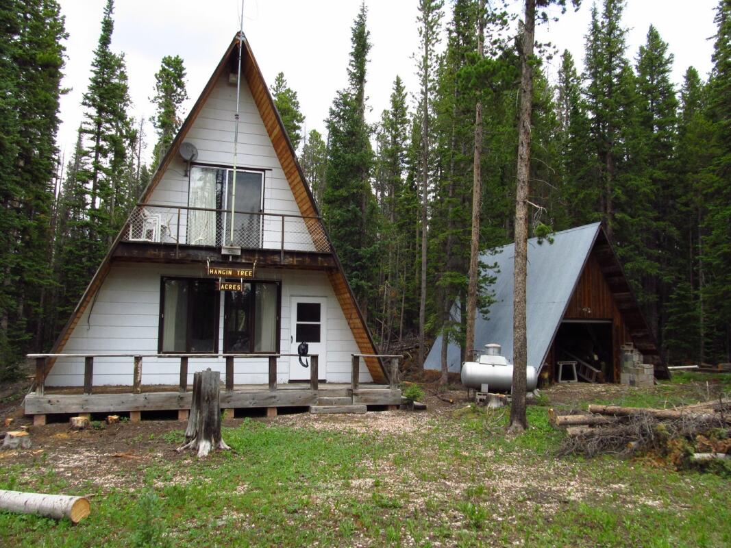 Snowy Range Cabin for Sale in Rock River, WY Carbon County Farm & Ranch