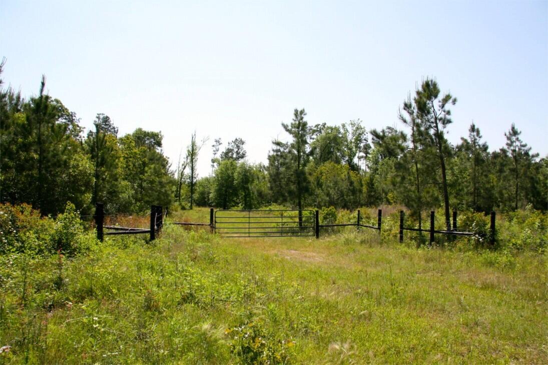 Mauriceville Tract for Sale in Orange, TX Newton County Farm & Ranch