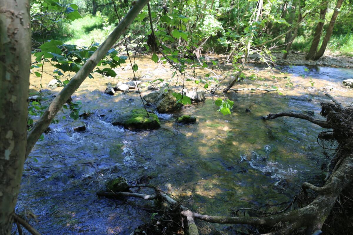 MISSOURI OZARKS CATTLE RANCH W/WARM FORK RIVER FRONTAGE for Sale in