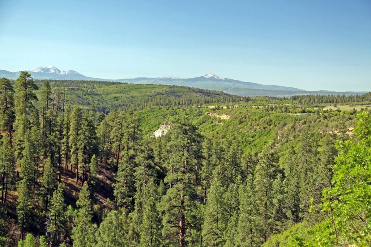 Lone Star Ranch Nucla, CO Montrose County Land for Sale Farm