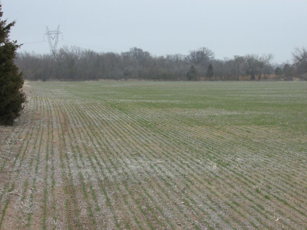 Wagoner County Farm 120Jc for Sale in Porter, OK Wagoner County