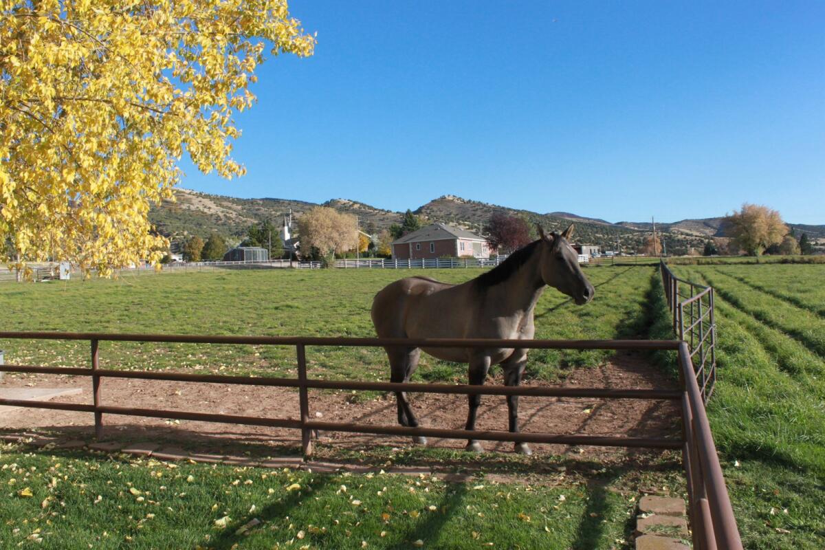Sailin' C Ranch for Sale in Hoytsville, UT Summit County Farm & Ranch