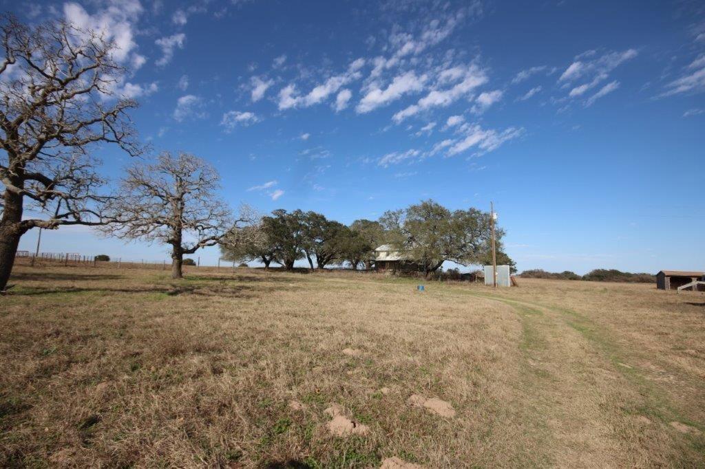 14+ acres, HUGE GRAND OAKS for Sale in Stockdale, TX Wilson County
