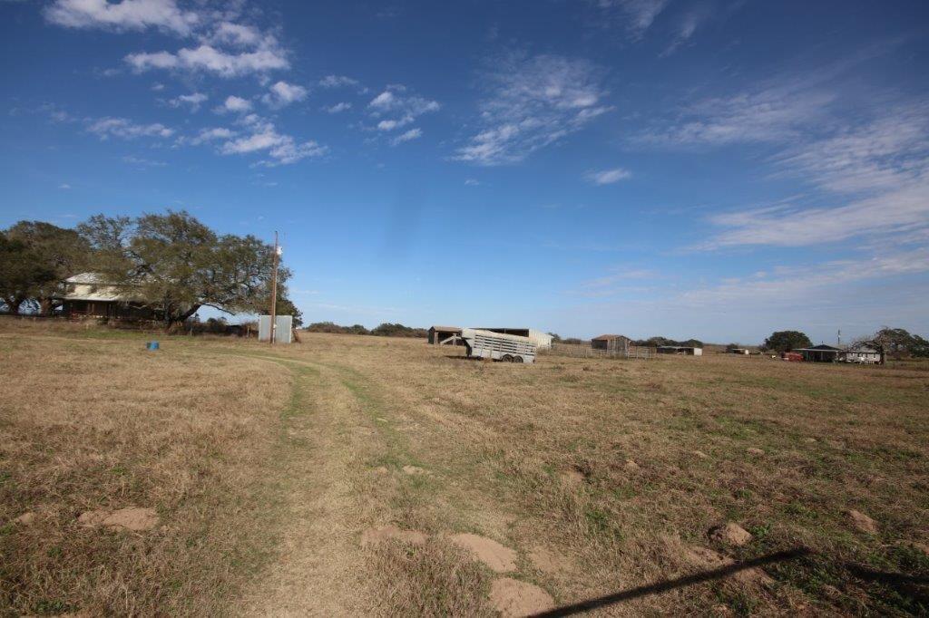 14+ acres, HUGE GRAND OAKS for Sale in Stockdale, TX Wilson County