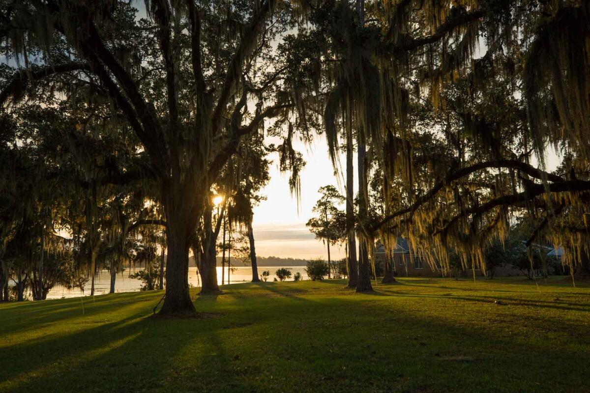 Loveridge Plantation for Sale in Miccosukee, FL Leon County Farm