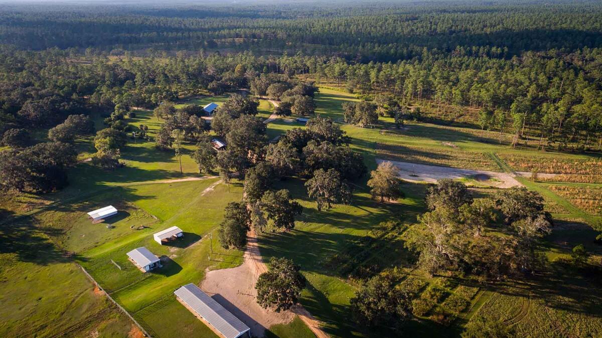 Loveridge Plantation for Sale in Miccosukee, FL Leon County Farm