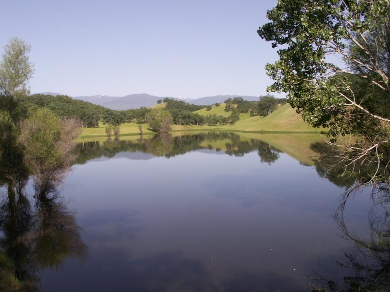Elder Creek Ranch for Sale in Rancho Tehama Reserve, CA Tehama County