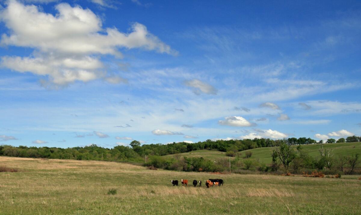 Stunning Prairie Farm just 20 minutes to Lawrence, KS for Sale in