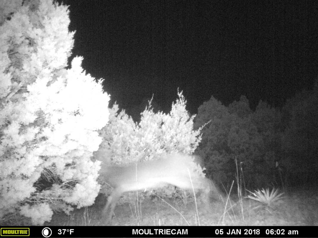 30.9 Acres, Stillman Valley Road, Florence Florence, TX Bell County