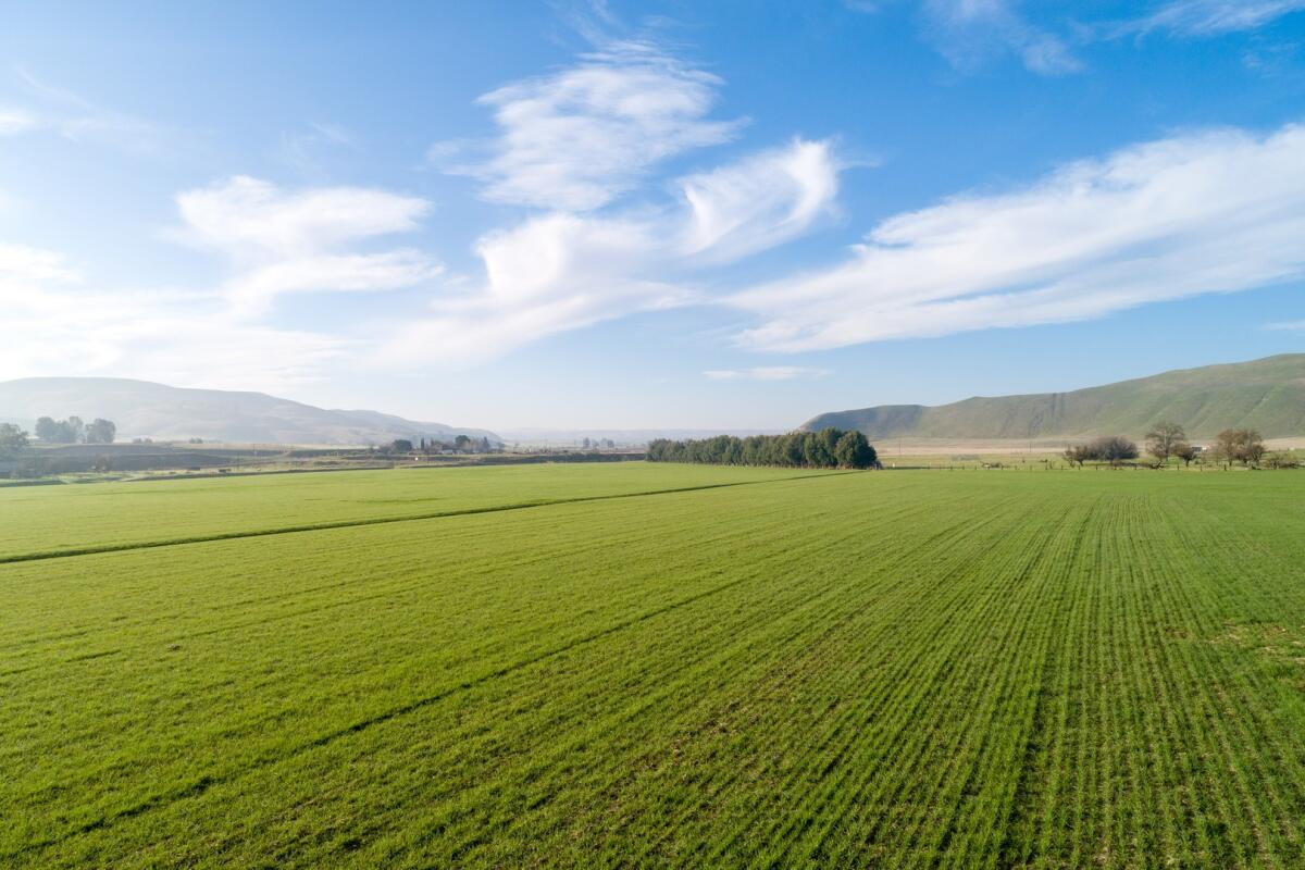 O Hopper Ranch for Sale in Shandon, CA San Luis Obispo County Farm