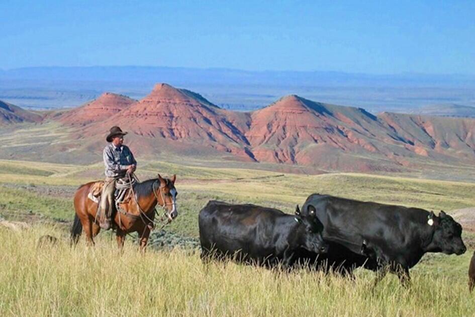 Paint Rock Canyon Ranch for Sale in Hyattville, WY Big Horn County
