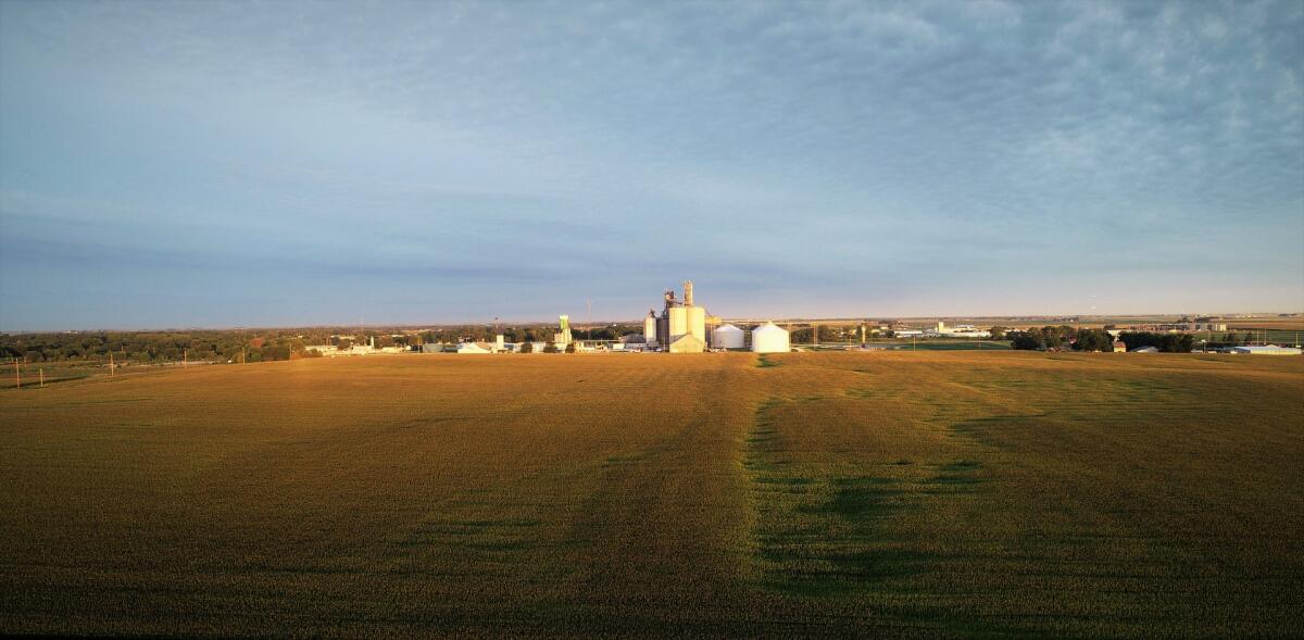 204.22 Acre m/l Auction Greene County, Iowa for Sale in Jefferson, IA