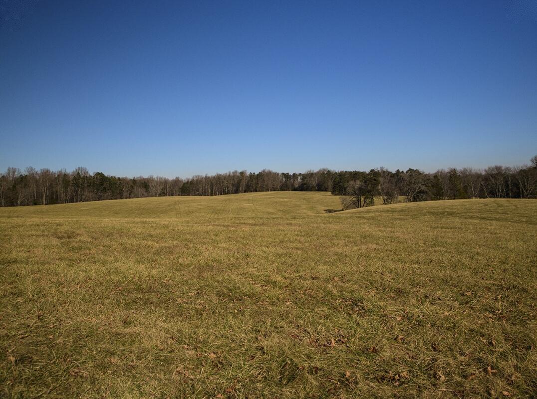 Oak Tree Farm Louisa, VA Louisa County Land for Sale Farm & Ranch