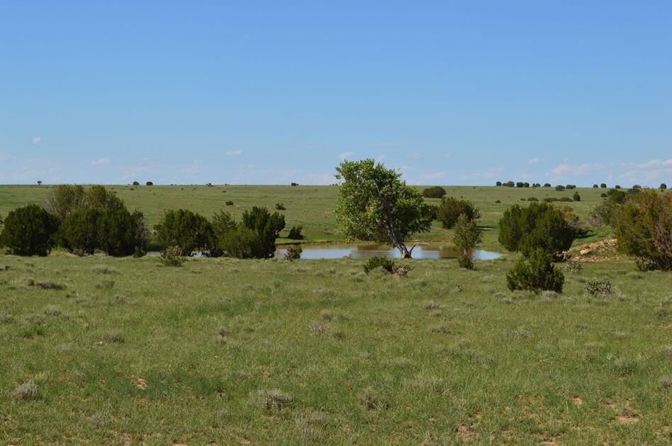 L & L Stone Ranch for Sale in Kim, CO Las Animas County Farm & Ranch
