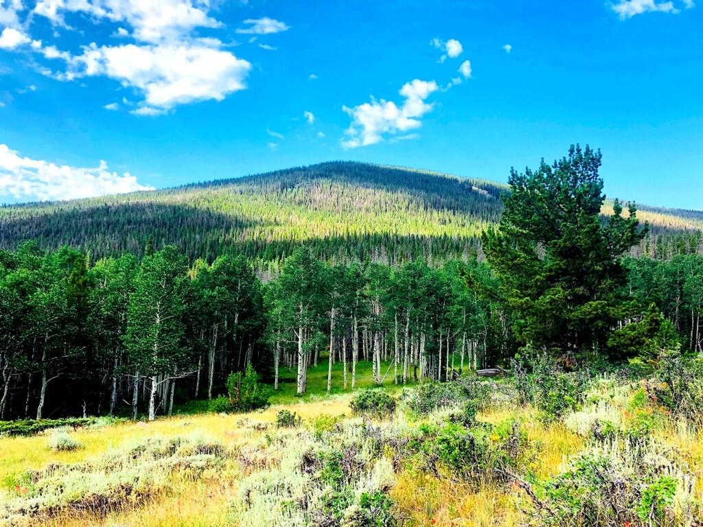 Green Mountain Retreat for Sale in Encampment, WY Carbon County