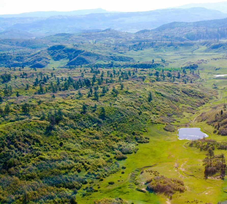 Quinlan Ranch for Sale in Chama, NM Rio Arriba County Farm & Ranch