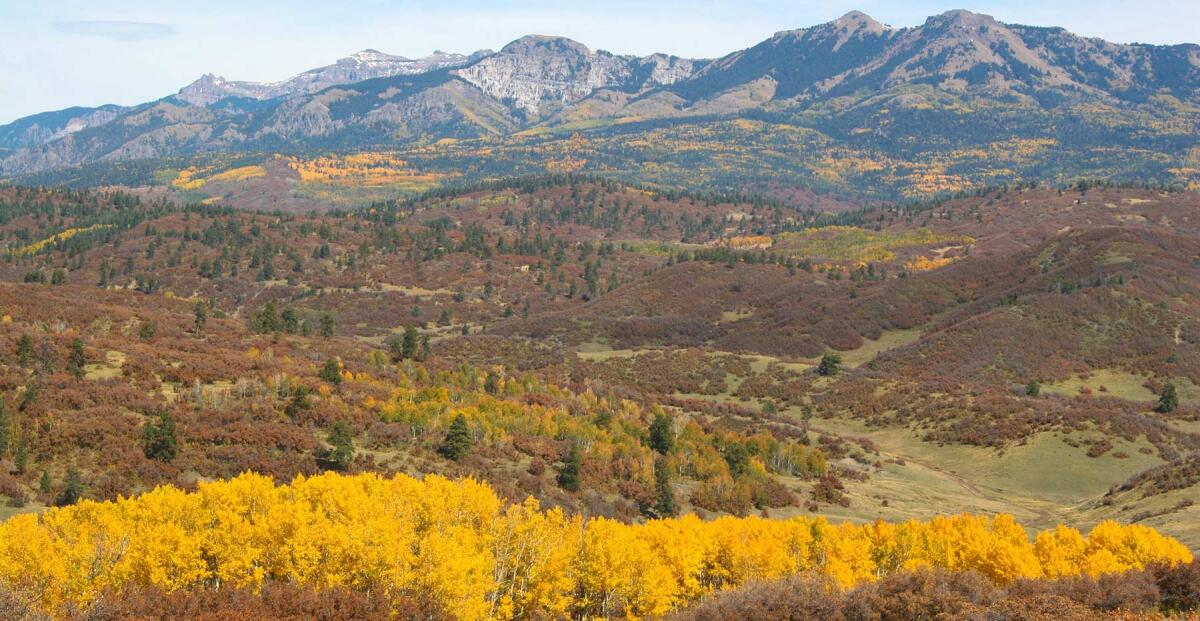 Quinlan Ranch for Sale in Chama, NM Rio Arriba County Farm & Ranch