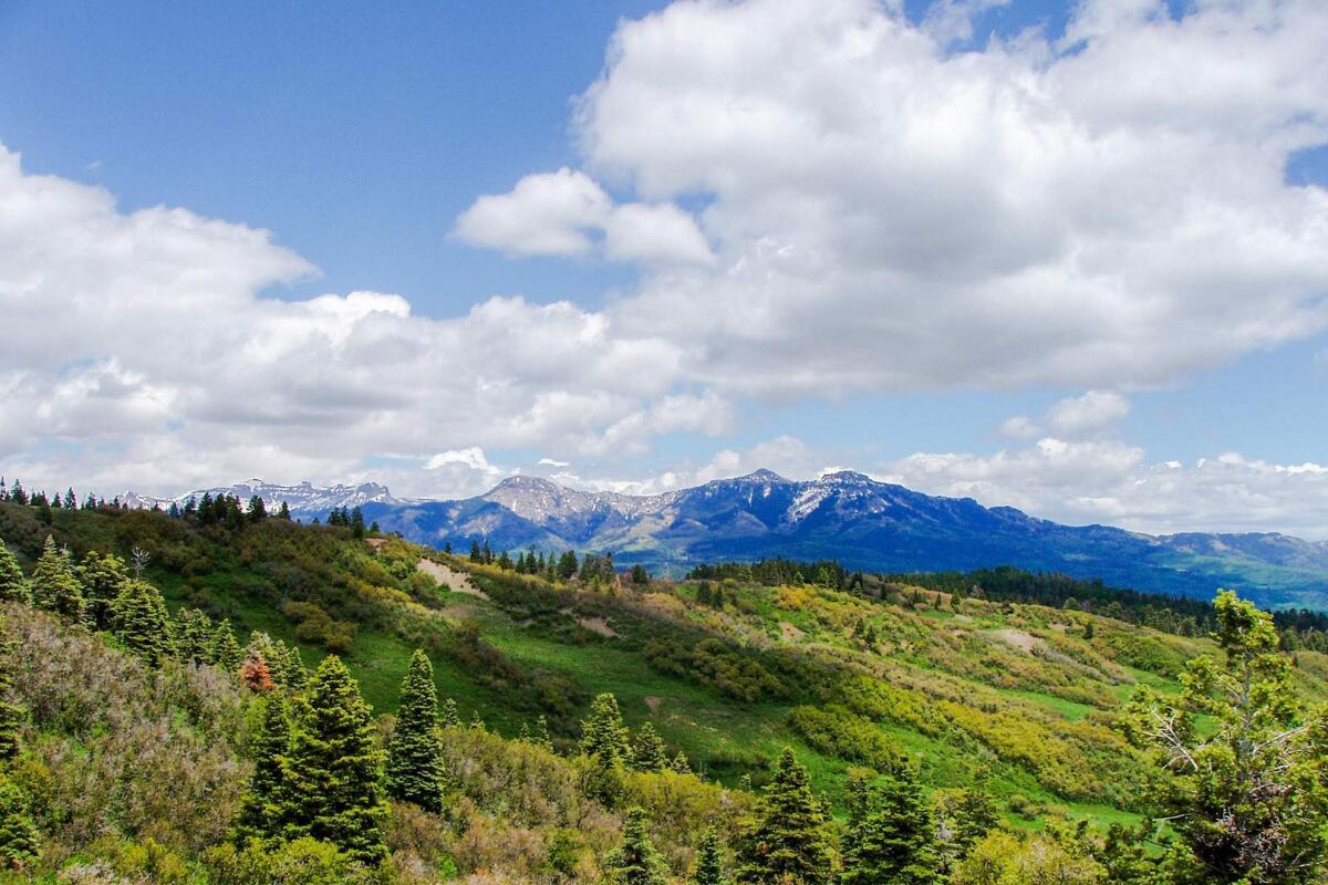 Quinlan Ranch for Sale in Chama, NM Rio Arriba County Farm & Ranch