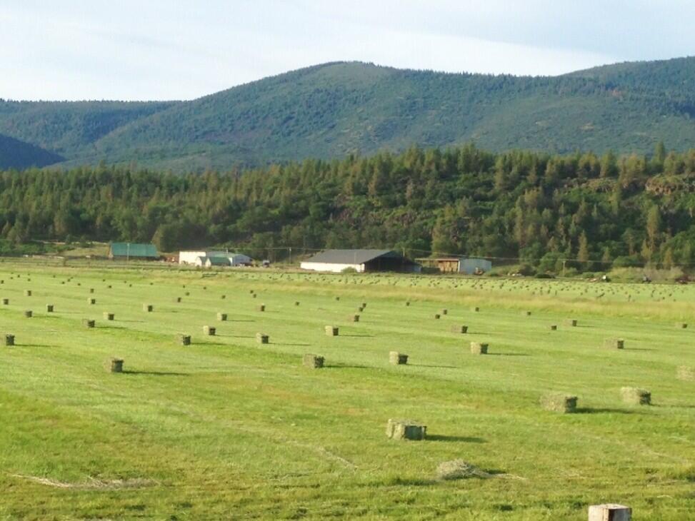 Winter Falls Ranch for Sale in McArthur, CA Shasta County Farm & Ranch