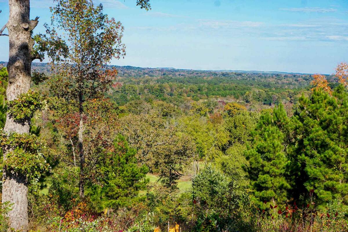 Starr Mountain Ranch for Sale in Winona, TX Smith County Farm & Ranch
