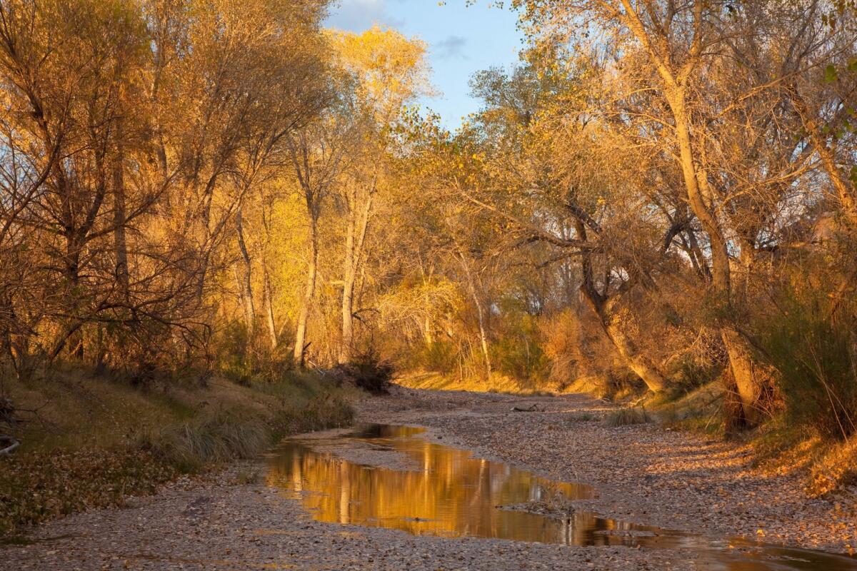 Kennedy Ranch for Sale in Marfa, TX Presidio County Farm & Ranch