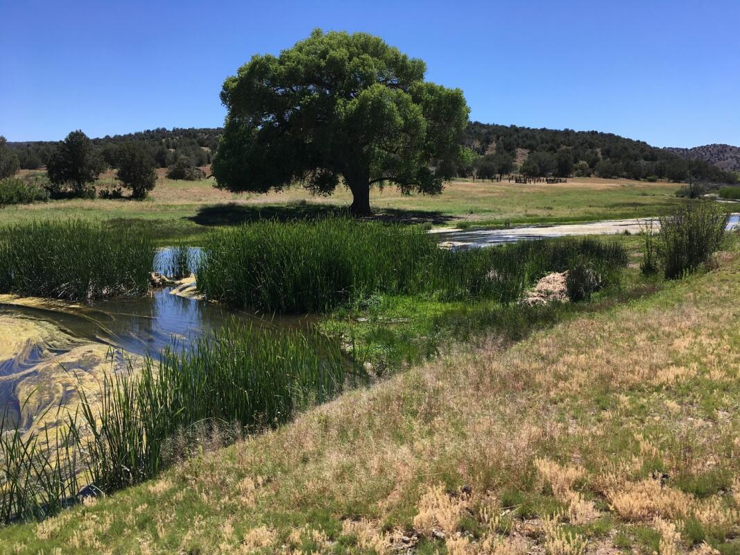 Rio Verde Ranch for Sale in Paulden, AZ Yavapai County Farm & Ranch