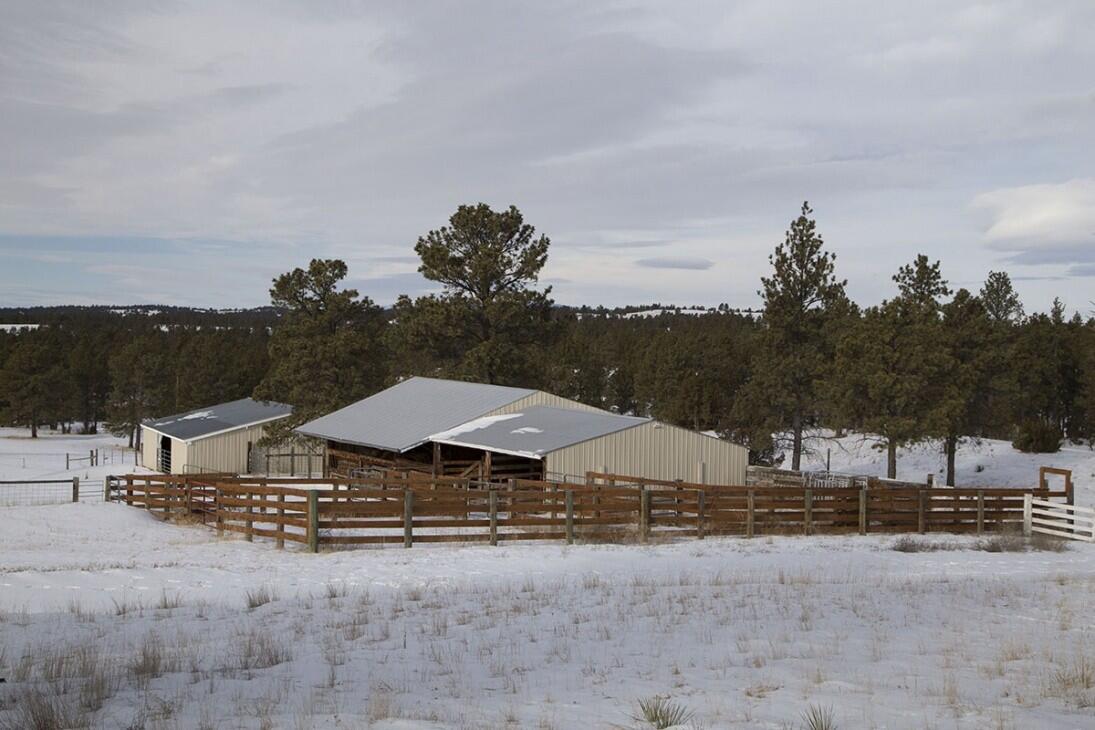 Musselshell County Montana Land For Sale at Ted Little blog