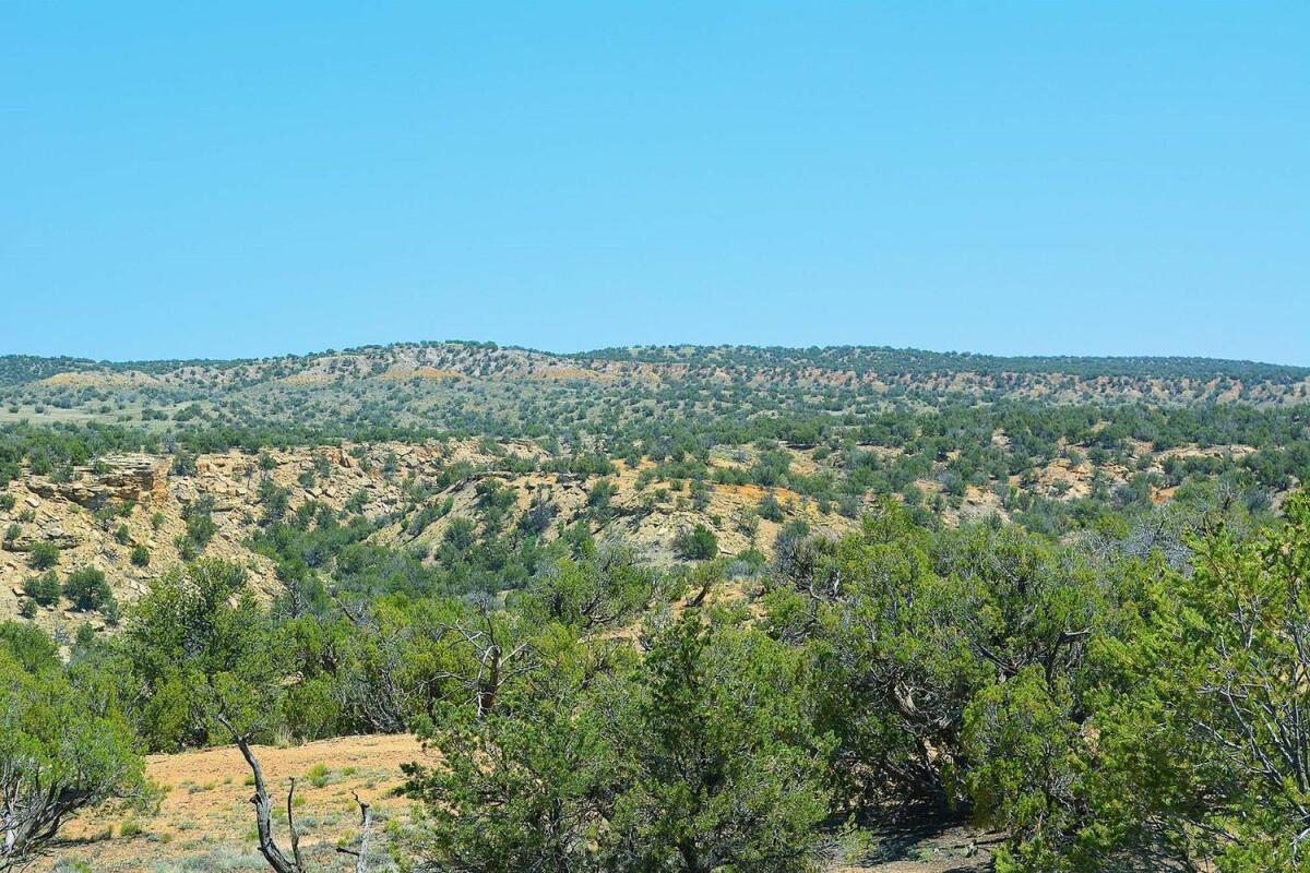 Northern Arizona's Sierra Highlands Ranch for Sale in St. Johns, AZ