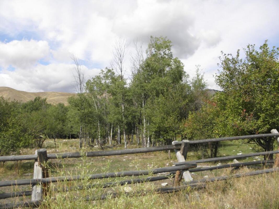Fourth of July Creek Road for Sale in North Fork, ID Lemhi County