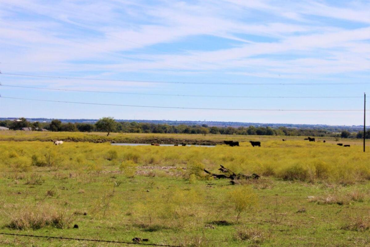 40 Abbott for Sale in Abbott, TX Hill County Farm & Ranch