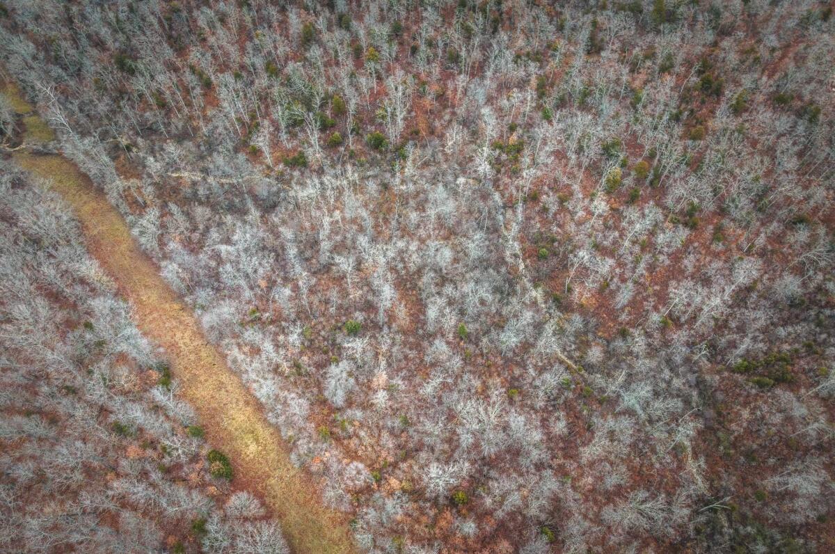 J Bar 7 Ranch for Sale in Vienna, MO Maries County Farm & Ranch