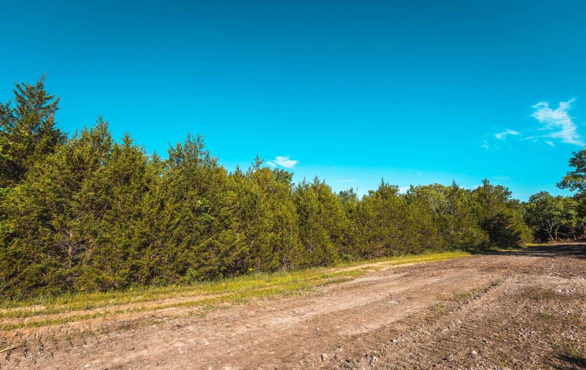 White Oak Ridge Tract 10 for Sale in Richland, MO Pulaski County