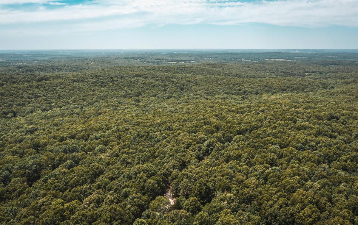 White Oak Ridge Tract 21 for Sale in Richland, MO Pulaski County