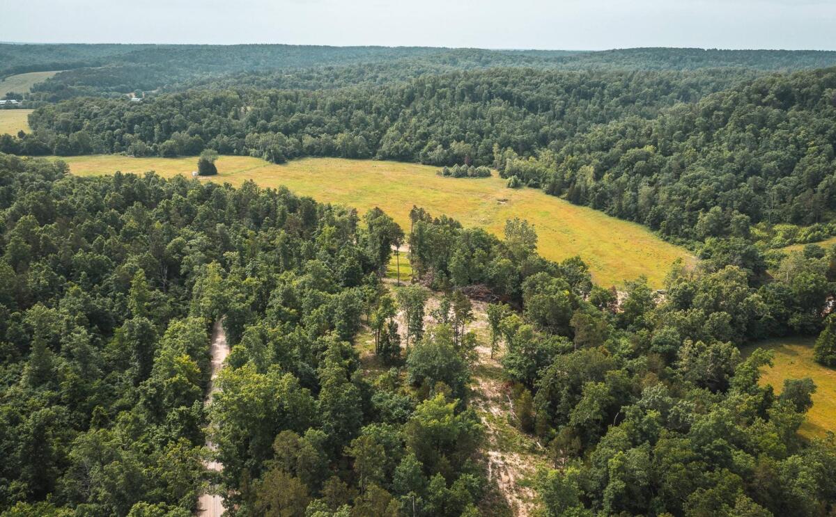 Ashley CreekTract 9 for Sale in Raymondville, MO Texas County Farm