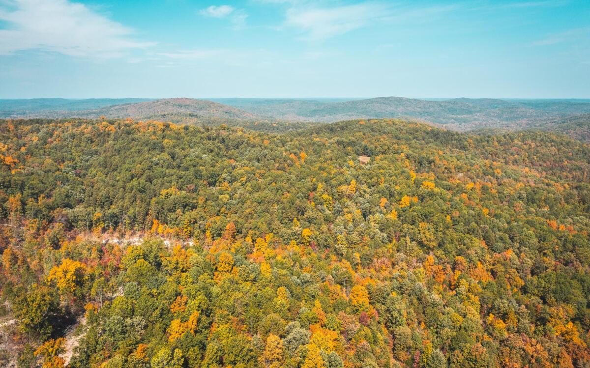 Thorny Creek Hollow for Sale in Eminence, MO Shannon County Farm