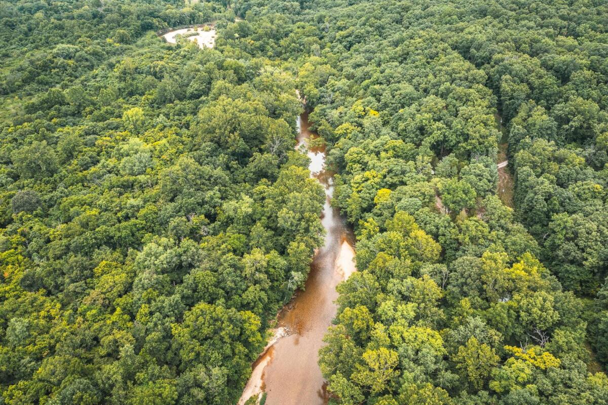 Timber View Lane by the Courtois River for Sale in Steelville, MO