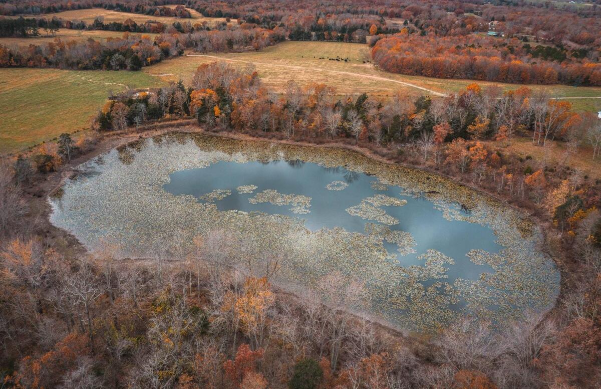 Iron Horse Lake for Sale in Salem, MO Dent County Farm & Ranch