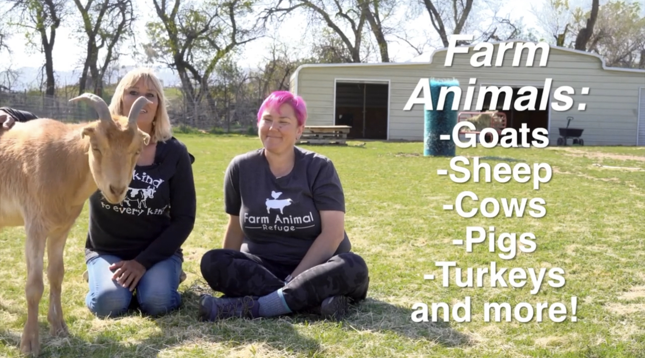 Education Program Farm Animal Refuge
