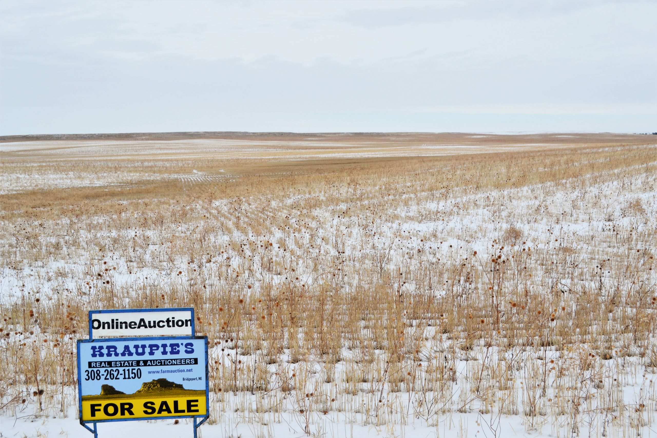 Kimball County Land Auction • Kraupie's Real Estate & Auctioneers