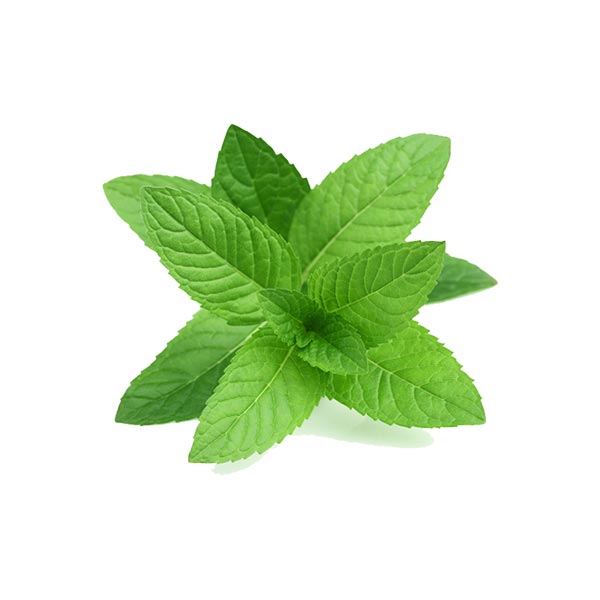 Mint Farmbox Nigeria