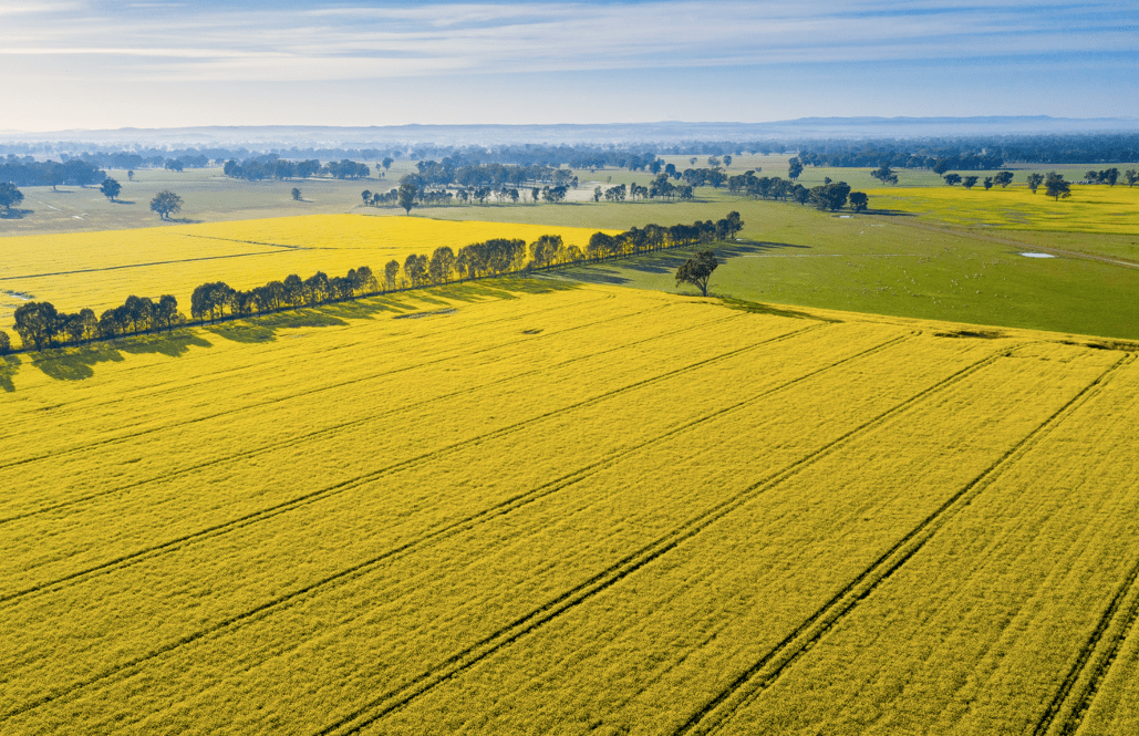 Rural Properties for Sale Wangaratta Buyers' Guide