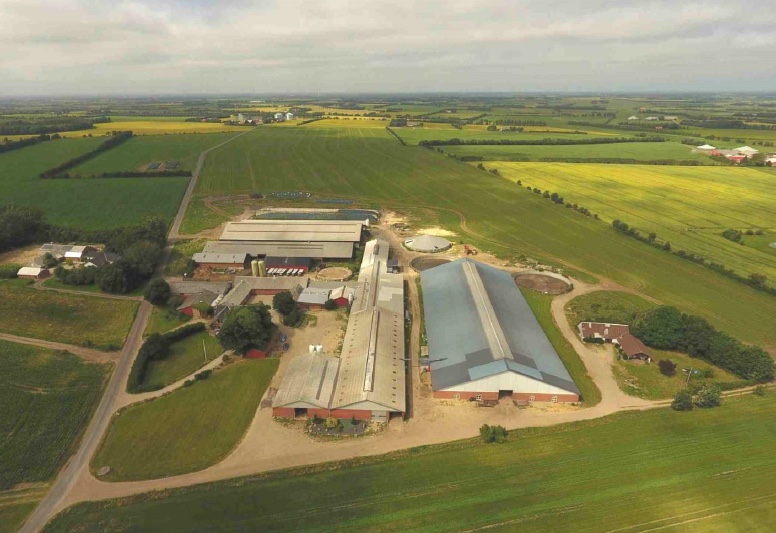 Acquisition of Danish dairy farm with 545 hectares